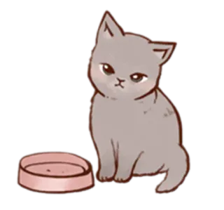 😥 chat, animal de compagnie, chaton, animal, gamelle, mignon, animal domestique telegram sticker