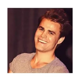 😀 Paul Wesley attore, celebrità, uomo, ritratto, sorriso telegram sticker