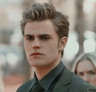 🤨 Stefan Salvatore The Vampire Diaries 뱀파이어, 진지한, 잘생긴, TV, 폴 웨슬리 telegram sticker