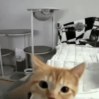 Больше стиков тут: @stikery4 whatsapp stickers