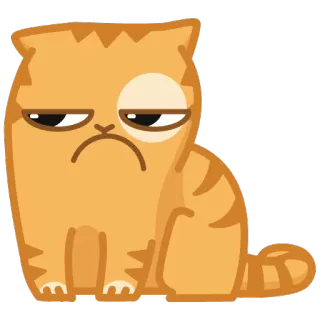 😟 kat, oranje, schattig, knorrig, cartoon whatsapp sticker