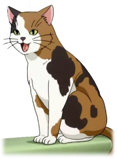 😸 gatto, calico, animale domestico, animale, gatto domestico telegram sticker