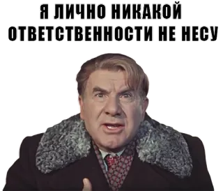 🤗 Я ЛИЧНО НИКАКОЙ ОТВЕТСТВЕННОСТИ НЕ НЕСУ telegram sticker