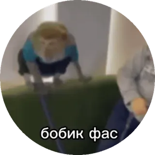 Больше стиков тут: @stikery4 telegram stickers