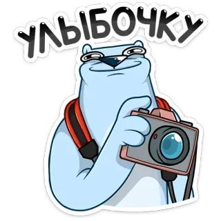 📸 УЛЫБОЧКУ niedźwiedź, fotograf, aparat, kreskówka, zwierzę, rosyjski, fraza telegram sticker