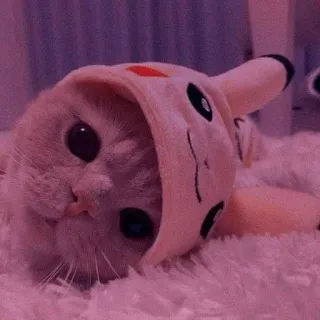 🌸 Pikachu Pokemon 猫, 可愛い, ポケモン, ピカチュウ, 動物 telegram sticker