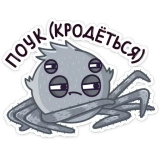💃 ПОЧК (КРОДЁТЬСЯ) spider, cartoon, cute, animal, arachnid, funny telegram sticker