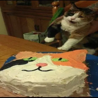 🐱 gato, tarta, animal, mascota, calicó, comida telegram sticker