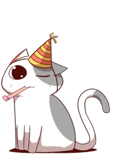 🐈 猫, 动物, 派对帽, 派对, 庆祝 whatsapp sticker