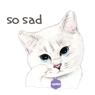 😿 COFFEE 고양이, 새끼 고양이, 동물, 애완동물, 커피 telegram sticker