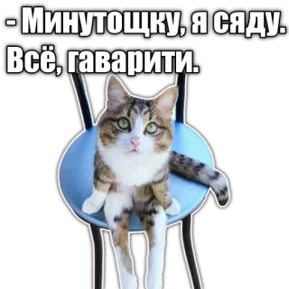 🪑 - Минутощку, я сяду.
Всё, гаварити. cat, chair, sitting, sticker, funny, animal telegram sticker