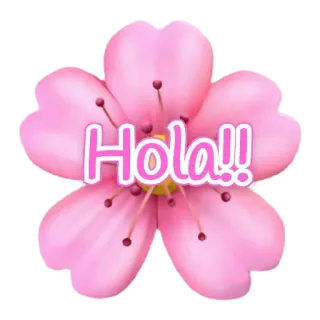 👋 Hola!! Blume, Kirschblüte, Gruß, Spanisch, Hallo telegram sticker