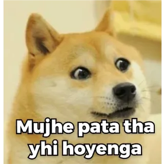 🙂 Mujhe pata tha yhi hoyenga doge, meme, tiếng Hindi, vui, chó telegram sticker