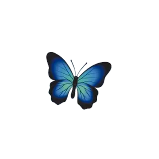 🦋 ผีเสื้อ, สีน้ำเงิน, ธรรมชาติ, แมลง, สีสัน, ปีก telegram sticker