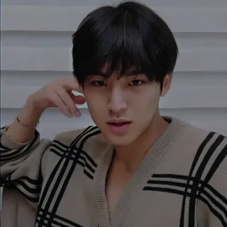 ⛓️ homme, portrait, personne, coréen, pull, asiatique telegram sticker