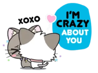 💕 I'M CRAZY ABOUT YOU gato, fofo, amor, beijo, desenho animado whatsapp sticker