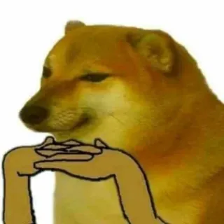 🐕 dog, meme, thinking, cheems, doge telegram sticker