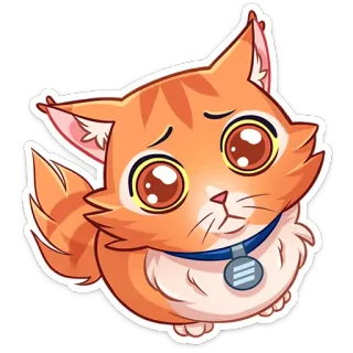 🥺 mèo, mèo con, thú cưng, động vật, dễ thương, hoạt hình, nhãn dán telegram sticker
