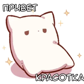 🌟 ПРИВЕТ КРАСОТКА salam, kucing, imut, berkilau telegram sticker