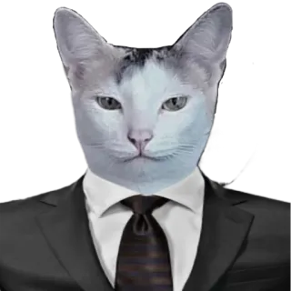 👨‍⚖️ 고양이, 정장, 동물, 정장, 비즈니스, 넥타이 telegram sticker