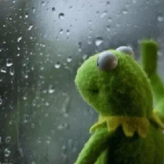 😔 Kermit Kermit, frog, rain, sad, window, puppet telegram sticker