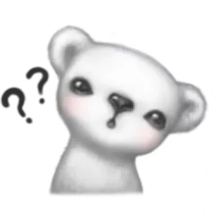❓ oso, animal, lindo, pregunta, pensando telegram sticker