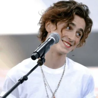 😏 Timothée Chalamet тимоти шаламе, актер, знаменитость, улыбается, микрофон whatsapp sticker
