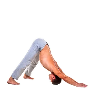 😍 yoga, pose, fitness, man, exercise, wellness telegram sticker