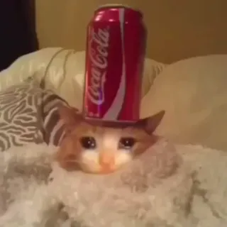 😢 kucing, coca-cola, soda, kucing sedih, meme, binatang telegram sticker