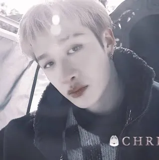 🌟 CHRIS homem, kpop, cantor, retrato, chris telegram sticker