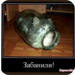 👍 Забанили! whatsapp sticker