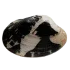 🐚
