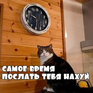 ⏰ САМОЕ ВРЕМЯ ПОСЛАТЬ ТЕБЯ НАХУЙ кот, часы, смешной, русский, обидный telegram sticker