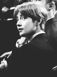 🥀 Kim Taehyung 케이팝, 가수, 아이돌, 태형, BTS, 연예인 telegram sticker