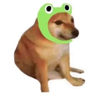 eMeDogsV2 whatsapp stickers