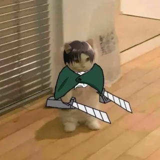 🥀 Levi Ackerman Attack on Titan Katze, Anime, Crossover, Militär, Levi Ackerman, Attack on Titan, Manga telegram sticker