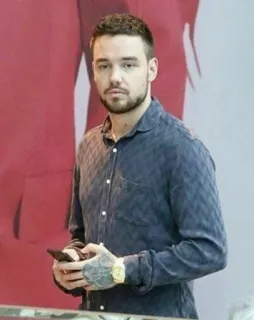 ✨ Liam Payne Liam Payne, celebrity, One Direction, singer, portrait telegram sticker