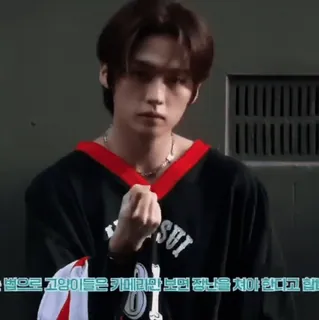 😠 SUI -법으로 법으로 고인이름은 고양이들은 카메라만 카메라만 보면 장난을 쳐야 한다고 합 telegram sticker
