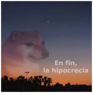 😒 Doge En fin, la hipocresía cane, meme, tramonto, Cheems, ipocrisia telegram sticker