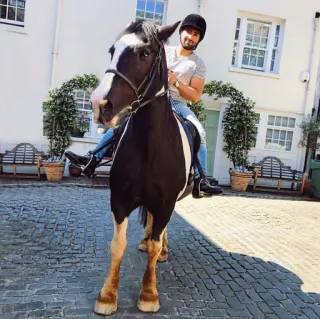 🖤 horse, man, riding, animal, equestrian, outdoors telegram sticker