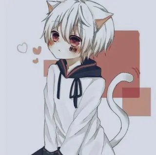 🙂 animé, chat garçon, mignon, kawaii, oreilles, queue telegram sticker