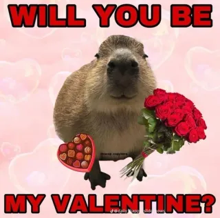 💞 WILL YOU BE MY VALENTINE? Capivara, Dia dos Namorados, Amor, Rosas, Chocolates, Corações, Romance, Animal whatsapp sticker