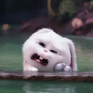 🐰 Snowball The Secret Life of Pets coelho, coelhinho, branco, fofo, animal, desenho animado, engraçado whatsapp sticker