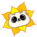 🙃 uroczy, miś, kwiat, zwierzę, kreskówka, naklejka telegram sticker