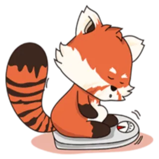 😶 レッサーパンダ, 動物, 体重計, 重さ, かわいい, 哺乳類 telegram sticker