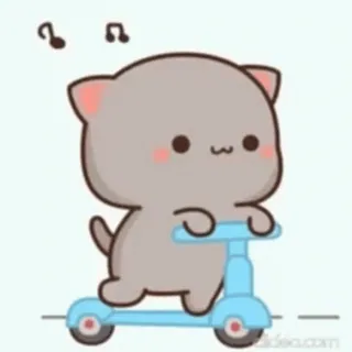 🎈 kat, scooter, schattig, cartoon, geanimeerd, dier whatsapp sticker