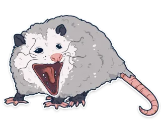 😱 опоссум, животное, смешной, милый, млекопитающее, сумчатый whatsapp sticker