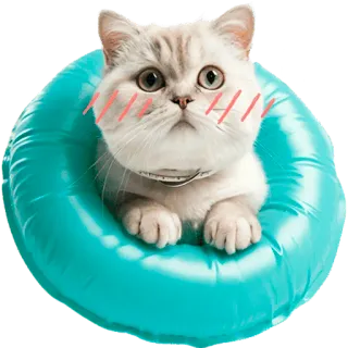 ☺️ gato, gatinho, fofo, animal, animal de estimação, azul, engraçado telegram sticker