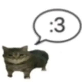 🤩 :3 cat, animal, cute, wholesome, emoticon whatsapp sticker