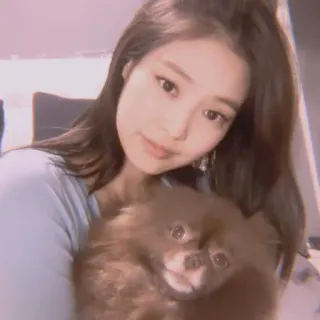 🌹 phụ nữ, chó, thú cưng, chân dung, dễ thương, trong nhà, tóc nâu, Hàn Quốc telegram sticker